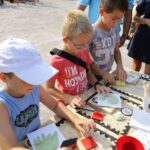 Kielecki Piknik Geologiczny Geo-Dizajn (11 września 2016) / Wojciech Habdas / Radio Kielce