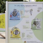 Ścieżka edukacyjna na Placu Artystów (5 września 2016) / Wojciech Habdas / Radio Kielce