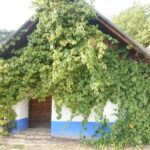 Muzyczne Podróże Przez Świat. Południowe Morawy (24 września 2016) / Stanisław Blinstrub / Radio Kielce