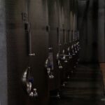 Muzyczne Podróże Przez Świat. Południowe Morawy (24 września 2016) / Stanisław Blinstrub / Radio Kielce