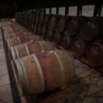 Muzyczne Podróże Przez Świat. Południowe Morawy (24 września 2016) / Stanisław Blinstrub / Radio Kielce