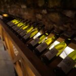 Muzyczne Podróże Przez Świat. Południowe Morawy (24 września 2016) / Radio Kielce