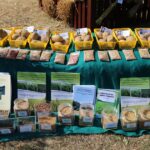 04.09.2016. Końskie. Dożynki województwa świętokrzyskiego / Krzysztof Bujnowicz / Radio Kielce