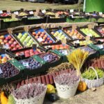 04.09.2016. Końskie. Dożynki województwa świętokrzyskiego / Krzysztof Bujnowicz / Radio Kielce