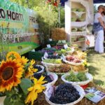 04.09.2016. Końskie. Dożynki województwa świętokrzyskiego / Krzysztof Bujnowicz / Radio Kielce