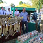 04.09.2016. Końskie. Dożynki województwa świętokrzyskiego / Krzysztof Bujnowicz / Radio Kielce