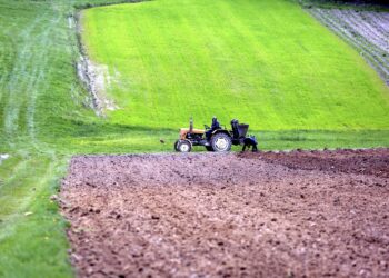 25.04.25 Kakonin. Rolnik. Ziemia rolna. Rolnictwo. Pole. Sadzenie ziemniaków. / Jarosław Kubalski / Radio Kielce