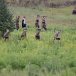 18.09.2016 Szewce. Rekonstrukcja bitwy pod Szewcami, jaka się rozegrała pomiędzy oddziałami AK i Niemcami 18 września 1944 roku. / Jarosław Kubalski / Radio Kielce