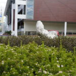 21.09.2016 Kielce Skwer przy ulicy Leśnej. / Jarosław Kubalski / Radio Kielce