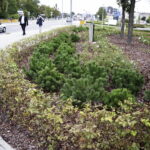 21.09.2016 Kielce Skwer przy Rondzie Herlinga - Grudzińskiego. / Jarosław Kubalski / Radio Kielce