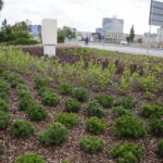 21.09.2016 Kielce Skwer przy Rondzie Herlinga - Grudzińskiego. / Jarosław Kubalski / Radio Kielce