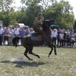 04.09.2016. Chmielnik. VI Jarmark Koński / Jarosław Kubalski / Radio Kielce