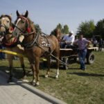 04.09.2016. Chmielnik. VI Jarmark Koński / Jarosław Kubalski / Radio Kielce