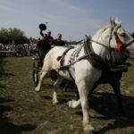 04.09.2016. Chmielnik. VI Jarmark Koński / Jarosław Kubalski / Radio Kielce