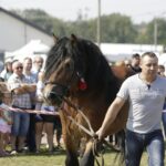 04.09.2016. Chmielnik. VI Jarmark Koński / Jarosław Kubalski / Radio Kielce