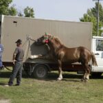 04.09.2016. Chmielnik. VI Jarmark Koński / Jarosław Kubalski / Radio Kielce