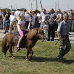 04.09.2016. Chmielnik. VI Jarmark Koński / Jarosław Kubalski / Radio Kielce