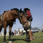 04.09.2016. Chmielnik. VI Jarmark Koński / Jarosław Kubalski / Radio Kielce
