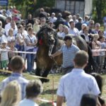 04.09.2016. Chmielnik. VI Jarmark Koński / Jarosław Kubalski / Radio Kielce
