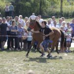 04.09.2016. Chmielnik. VI Jarmark Koński / Jarosław Kubalski / Radio Kielce