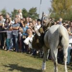 04.09.2016. Chmielnik. VI Jarmark Koński / Jarosław Kubalski / Radio Kielce