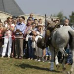 04.09.2016. Chmielnik. VI Jarmark Koński / Jarosław Kubalski / Radio Kielce