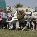 04.09.2016. Chmielnik. VI Jarmark Koński / Jarosław Kubalski / Radio Kielce