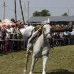 04.09.2016. Chmielnik. VI Jarmark Koński / Jarosław Kubalski / Radio Kielce