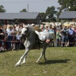 04.09.2016. Chmielnik. VI Jarmark Koński / Jarosław Kubalski / Radio Kielce