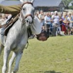 04.09.2016. Chmielnik. VI Jarmark Koński / Jarosław Kubalski / Radio Kielce