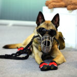 5.9.2016 Kielce. Ostatnie przygotowania przed rozpoczynającymi się we wtorek targami MSPO. / Wojciech Habdas / Radio Kielce