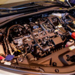 28.8.2016 Kielce. Nowa Toyota C-HR / Wojciech Habdas / Radio Kielce