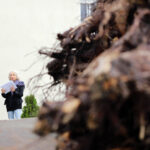 5.9.2016 Kielce. NOMADA to ósmy projekt artystyczny Fundacji „Nowa Przestrzeń Sztuki”. Wokół DOMU MODLITWY – żydowskiej bożnicy z początku XX wieku przeniesionej na Pakosz, przez cztery kolejne dni tworzył będzie rzeźbiarz i performer Paweł Althamer, oraz zaproszeni przez niego artyści. / Wojciech Habdas / Radio Kielce