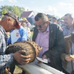 25.09.2016.  Święto odpustowe w Dębnie, połączone z tradycyjnym pieczeniem ziemniaków / Wojciech Habdas / Radio Kielce