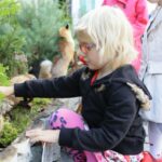 25.09.2016. Piknik „Dary Świętokrzyskich Lasów” w Kielcach / Wojciech Habdas / Radio Kielce