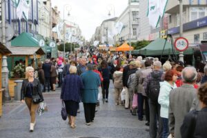 25.09.2016. Piknik „Dary Świętokrzyskich Lasów” w Kielcach / Wojciech Habdas / Radio Kielce