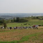 Piknik historyczny w Chęcinach (11 wrzesnia 2016 r.) / Wojciech Habdas / Radio Kielce