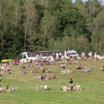Piknik historyczny w Chęcinach (11 wrzesnia 2016 r.) / Wojciech Habdas / Radio Kielce