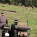 Piknik historyczny w Chęcinach (11 wrzesnia 2016 r.) / Wojciech Habdas / Radio Kielce