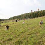 Piknik historyczny w Chęcinach (11 wrzesnia 2016 r.) / Wojciech Habdas / Radio Kielce