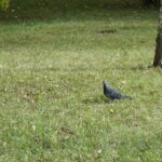 Interwencja (25 października 2016 r.) / Krzysztof Bujnowicz / Radio Kielce