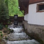 Muzyczne Podróże Przez Świat. Węgry (1 października 2016) / Jan Walczyński