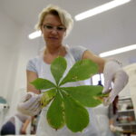 Drukowany obrus w Instytucie Designu (1 października 2016). / Jarosław Kubalski / Radio Kielce