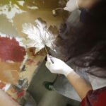 Drukowany obrus w Instytucie Designu (1 października 2016). / Jarosław Kubalski / Radio Kielce