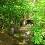 Muzyczne Podróże Przez Świat. Węgry (1 października 2016) / Jan Walczyński