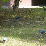 Interwencja (25 października 2016 r.) / Krzysztof Bujnowicz / Radio Kielce