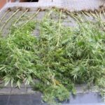 Świętokrzyska policja