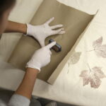 Drukowany obrus w Instytucie Designu (1 października 2016). / Jarosław Kubalski / Radio Kielce