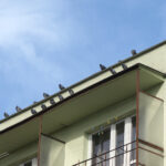 Interwencja (25 października 2016 r.) / Krzysztof Bujnowicz / Radio Kielce