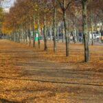 Muzyczne Podróże Przez Świat. Berlin (15 października 2016 r.) / Robert Soliński / Radio Kielce